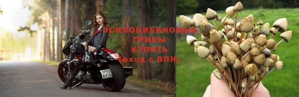 гашик Приозерск